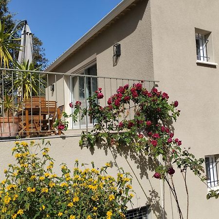 Charmante Maison Avec Jardin Aux Portes Des Gorges De L'Ardeche Saint-Julien-de-Peyrolas Kültér fotó